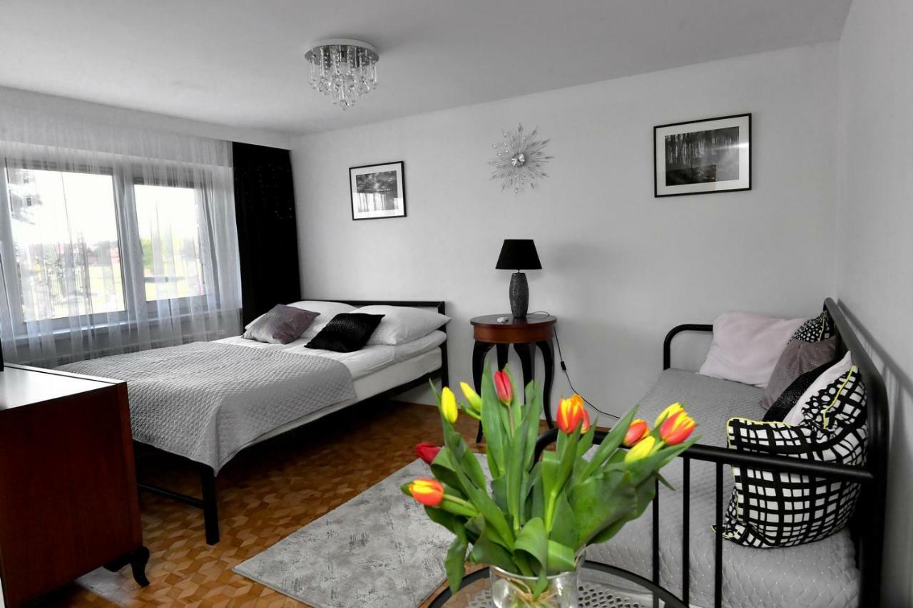 Apartament Spytkowice - Energylandia Krakow Oswiecim Wadowice 외부 사진